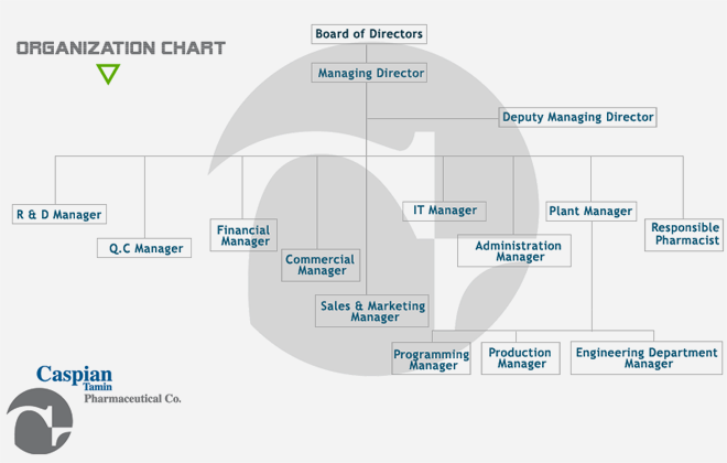 Pharmaceutical Company Organizational Chart